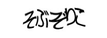 Authentication image